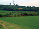 FileNo.178-011.jpg