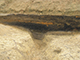 FileNo.178-023.jpg