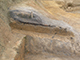 FileNo.178-026.jpg