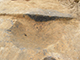 FileNo.178-028.jpg