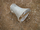 FileNo.178-033.jpg