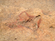 FileNo.178-040.jpg
