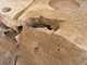 FileNo.178-041.jpg
