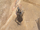 FileNo.178-042.jpg