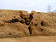 FileNo.178-043.jpg