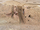 FileNo.178-045.jpg