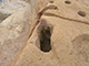 FileNo.178-050.jpg