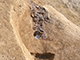 FileNo.178-054.jpg