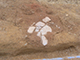 FileNo.178-057.jpg