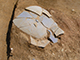 FileNo.178-058.jpg