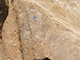 FileNo.178-059.jpg