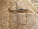 FileNo.178-060.jpg