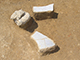 FileNo.178-070.jpg