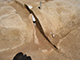 FileNo.178-073.jpg