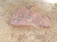 FileNo.178-077.jpg