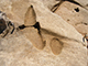 FileNo.178-078.jpg