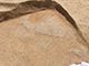 FileNo.178-080.jpg