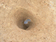 FileNo.178-082.jpg