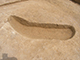 FileNo.178-089.jpg