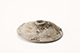 FileNo.178-094.jpg