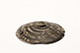 FileNo.178-095.jpg