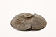 FileNo.178-104.jpg