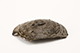 FileNo.178-106.jpg