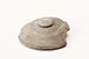 FileNo.178-108.jpg