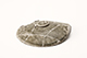FileNo.178-114.jpg