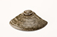 FileNo.178-124.jpg