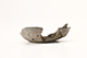 FileNo.178-153.jpg