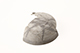 FileNo.178-157.jpg