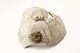 FileNo.178-224.jpg
