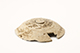 FileNo.178-245.jpg