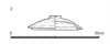 図版 178-J002.png