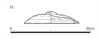 図版 178-J053.png