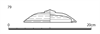 図版 178-J079.png