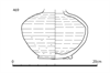 図版 178-J469.png