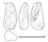 図版 178-J591.png