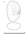 図版 178-J592.png