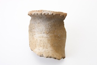 FileNo.179-0006s.jpg