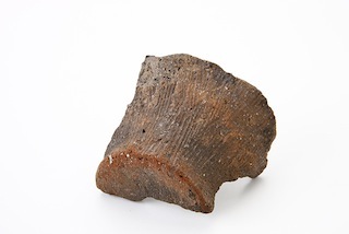 FileNo.179-0013s.jpg