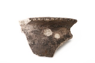 FileNo.179-0020s.jpg