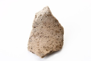 FileNo.179-0021s.jpg