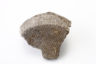 FileNo.179-0022s.jpg