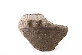 FileNo.179-0026s.jpg