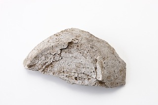 FileNo.179-0028s.jpg