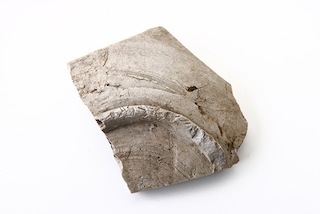 FileNo.179-0031s.jpg