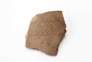 FileNo.179-0036s.jpg