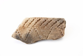 FileNo.179-0041s.jpg